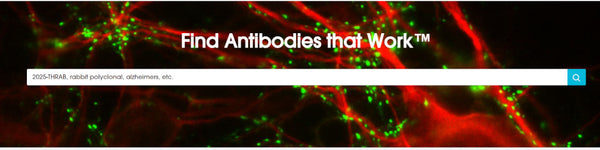 Antibodies that Work Banner