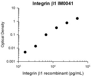 Representative Standard Curve using mouse monoclonal anti-integrin β1 (IM0041) for ELISA capture of human recombinant integrin β1 extracellular region. Capture was detected by mouse monoclonal anti-integrin β1 (IM0411) followed by appropriate secondary antibody conjugated to HRP.