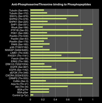Bar graph showing anti-Phosphoserine/threonine (PP2551) binding to a variety of phosphoserine and phosphothreonine peptides, but not control peptide containing unphosphorylated serine or phosphotyrosine.
