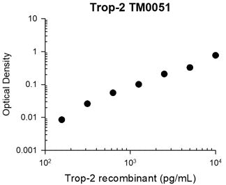 Representative Standard Curve using mouse monoclonal anti-Trop-2 (TM0051) for ELISA capture of human recombinant Trop-2
extracellular region with His-tag. Capture was detected by using an anti-His-tag antibody followed by appropriate secondary antibody conjugated to HRP.